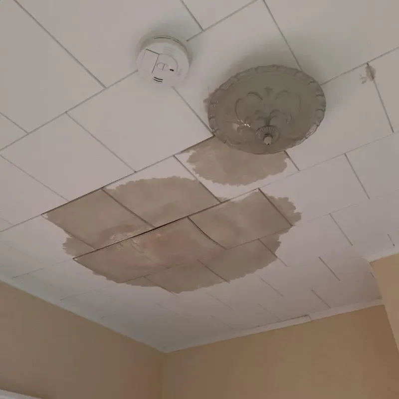 Ceiling Water Damage Repair in Young Harris, GA