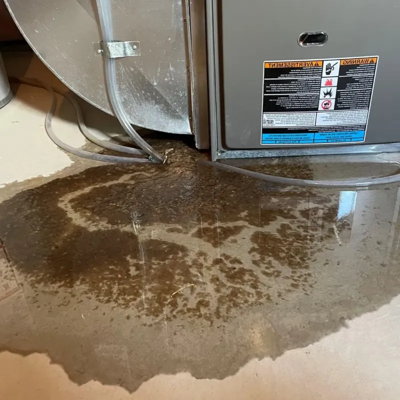 Pipe Burst and Leak Restoration in Young Harris, GA