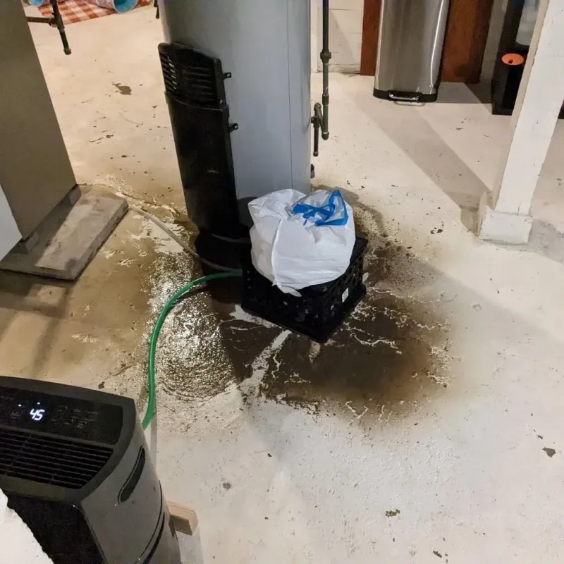 Sewage Backup Cleanup Service in Young Harris, GA